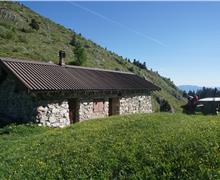 03B Malga Dagnola Alta